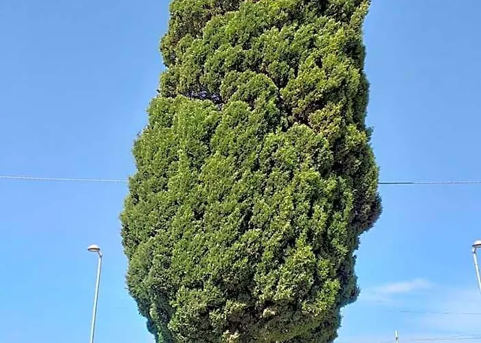 L'Albero bello Holiday Mazara del Vallo