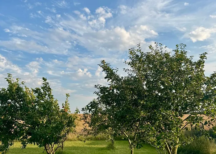 B & B Langagergaard Thisted