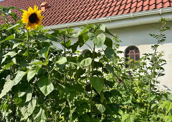 B & B Langagergaard Thisted