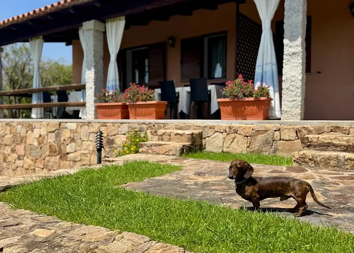 La Minditta San Teodoro 