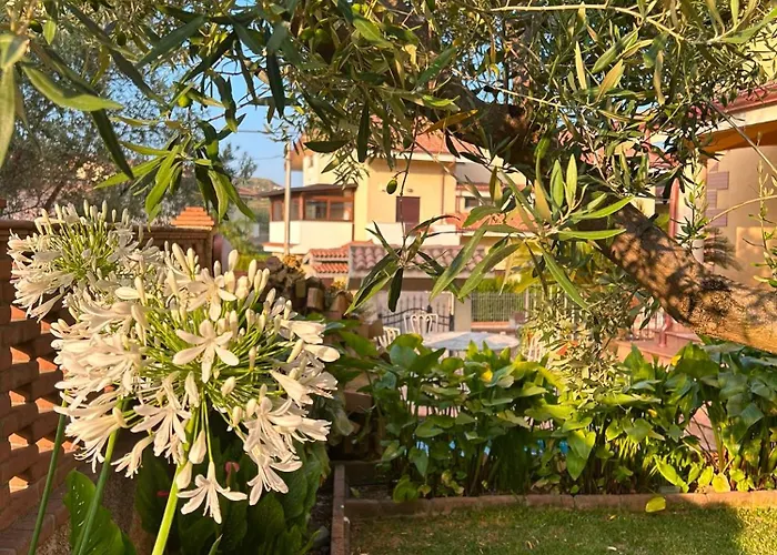 B&B Villa Maria - Settingiano di Martelletto Catanzaro