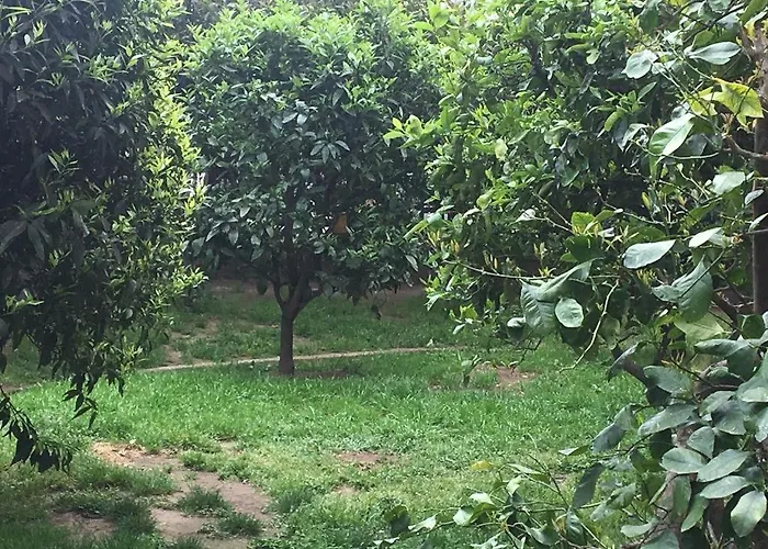 Bed and Breakfast L' albero di giada Caserta