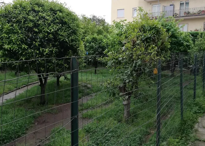 Bed and Breakfast L' albero di giada Caserta