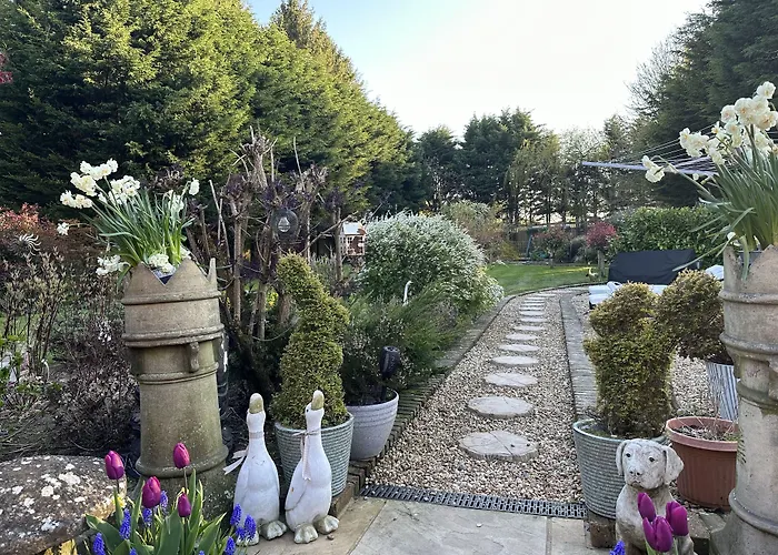 Beechwood B And B Lewes