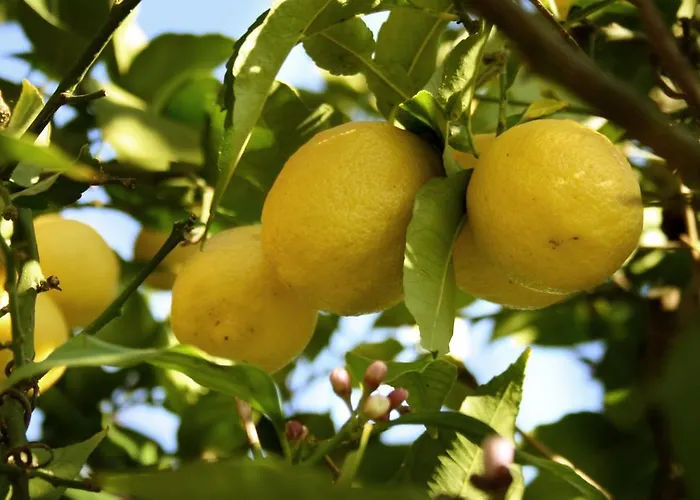 B&B Il Giardino di Gabri Roma