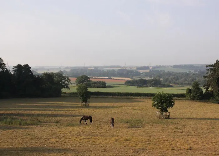 The Manor House Bed And Breakfast King's Lynn
