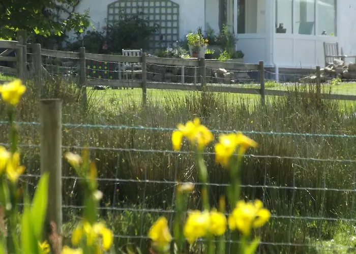 The Swallows Guest House New Quay 