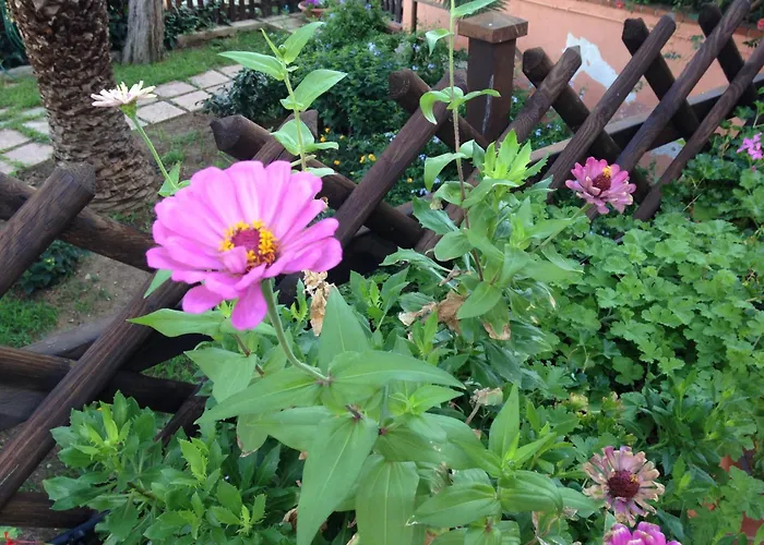 B&B Villa Di Giorgi Cefalù