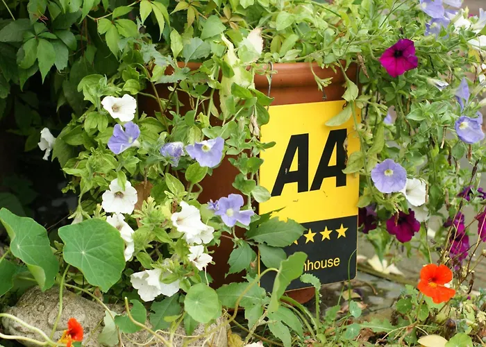 Bed and BreakfastHills Farm