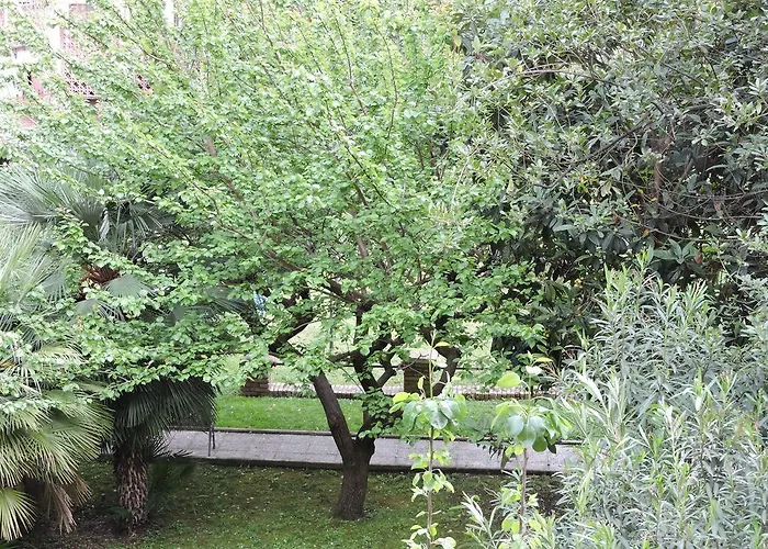 B&B Ginester Roma