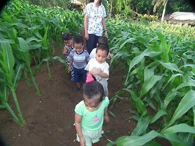 Aloha Bed And Breakfast Puerto Princesa
