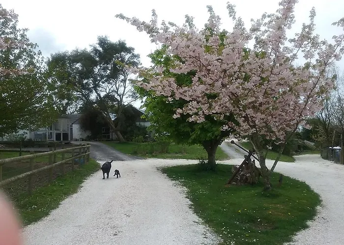 The Swallows Guest House New Quay 
