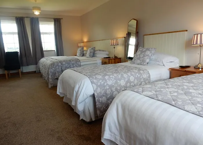 Auburndale B&B Kilkenny