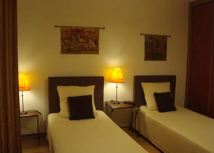 Chambres D'Hotes Les Palmiers De La Cite Carcasona