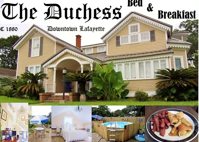 Duchess Downtown Lafayette