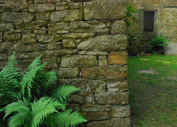 Casa Asso Di Coppe B&B Alba 
