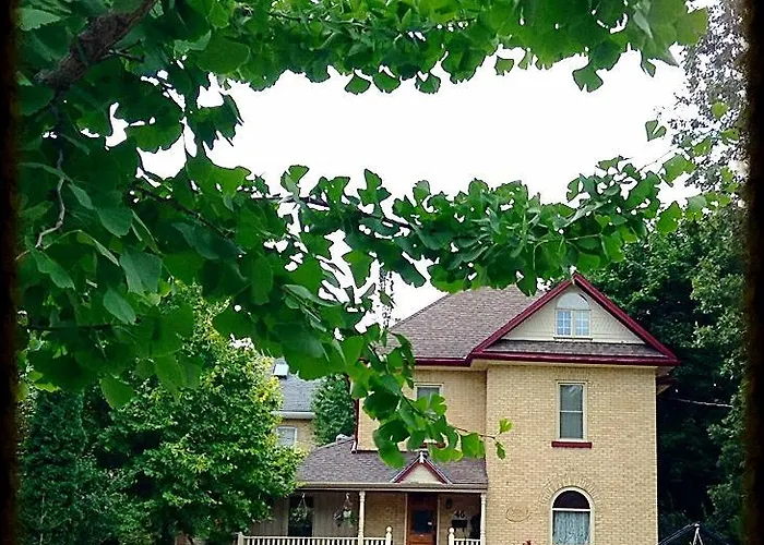 Tranquil Days Guest House - A Truly Exceptional Bed And Breakfast Stratford