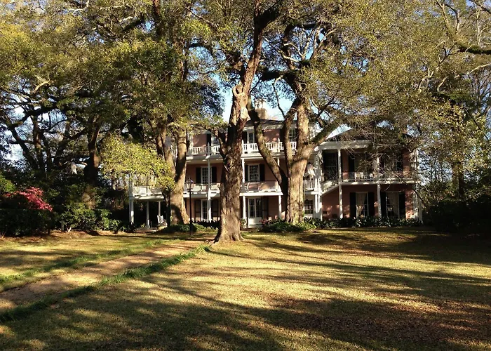 The Elms Bed And Breakfast Natchez