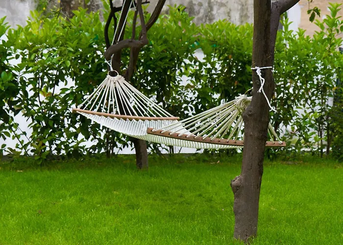 Il Paradiso Di Dante Naples