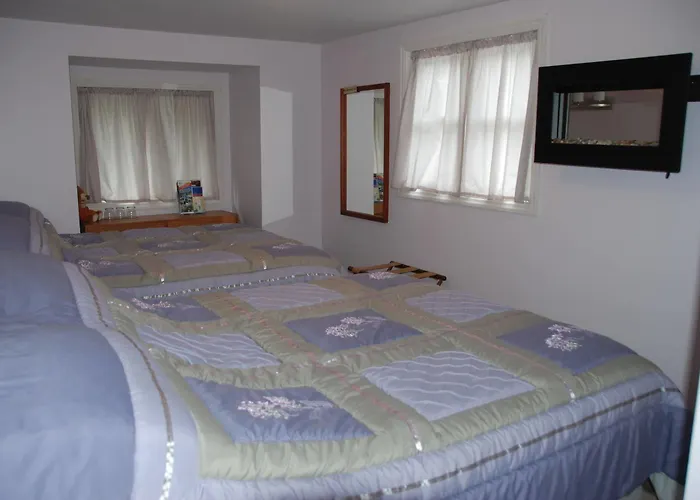 Teddy Bear Bed & Breakfast Bancroft