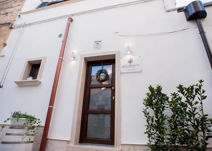 Bio B&B Bacco Nella Gnostra Altamura
