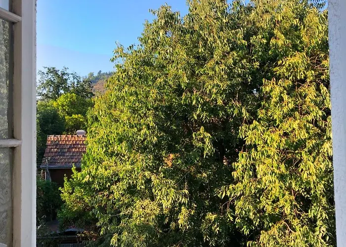 Bed and Breakfast Casa Ryan Santiago del Cile