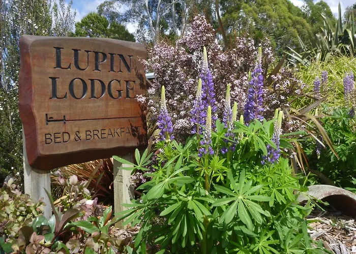 Lupin Lodge Bed & Breakfast Taupo