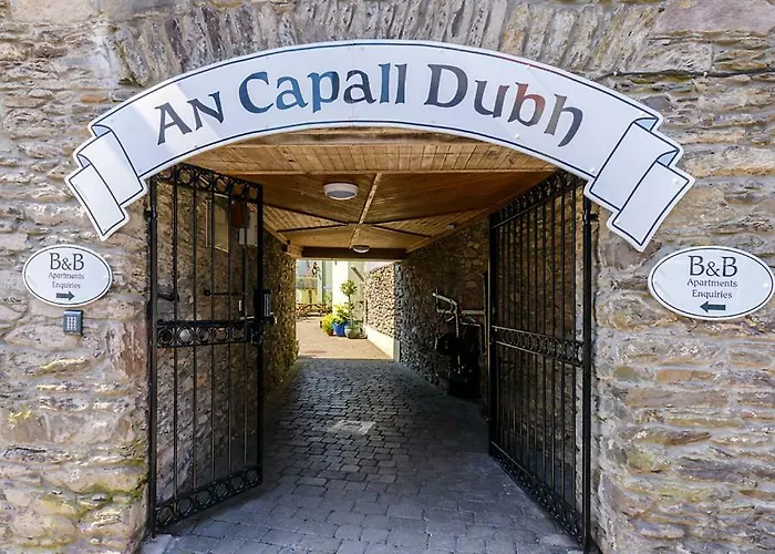 An Capall Dubh B&B Dingle