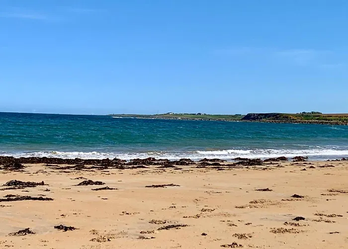 Bed and BreakfastNo12 Bed And Breakfast, St Andrews