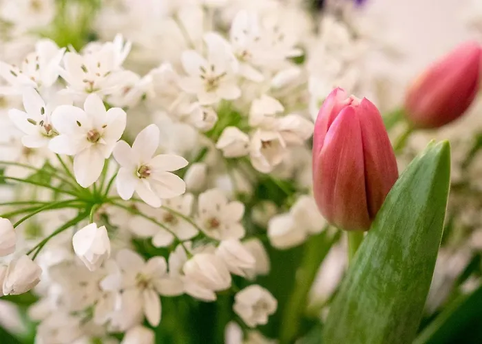 Campo Marzio Charming Bed & Breakfast Roma