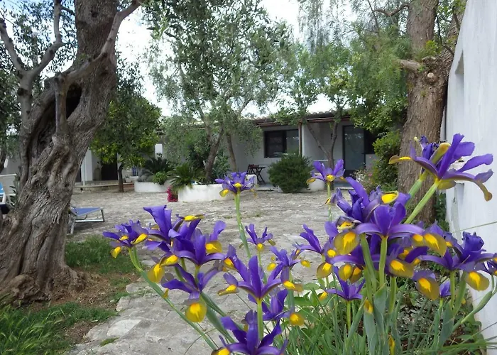 B&B Masseria Liberatore Mattinata