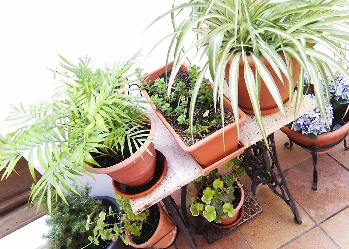 Hostal La Ribera del Júcar Cuenca 