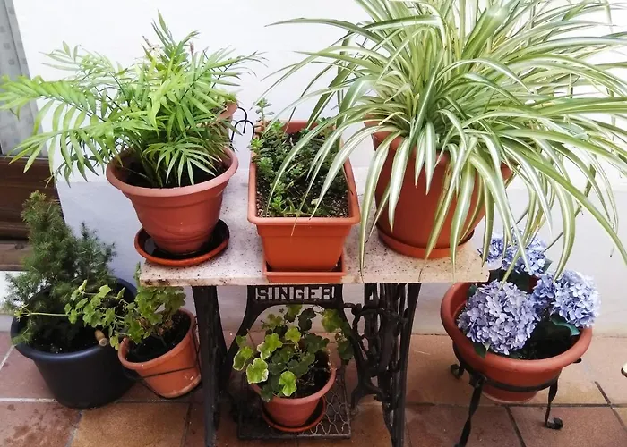 Hostal La Ribera del Júcar Cuenca 