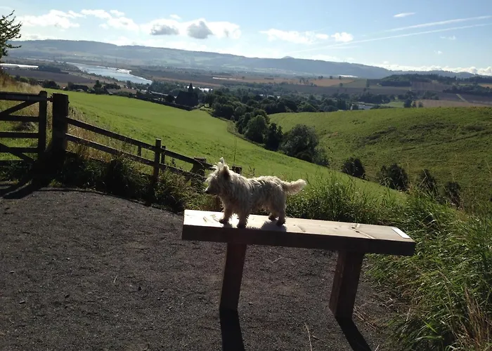 Northlees Farm Bed & Breakfast Perth