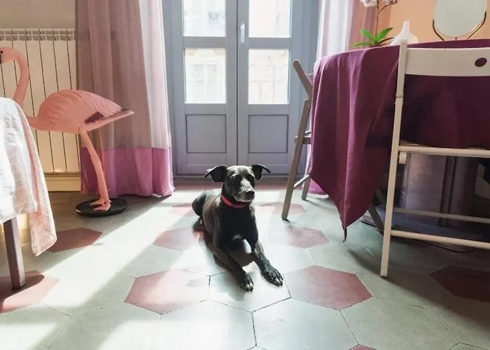 Bed and Breakfast Casa Dani&Swing Bed&Books Torino