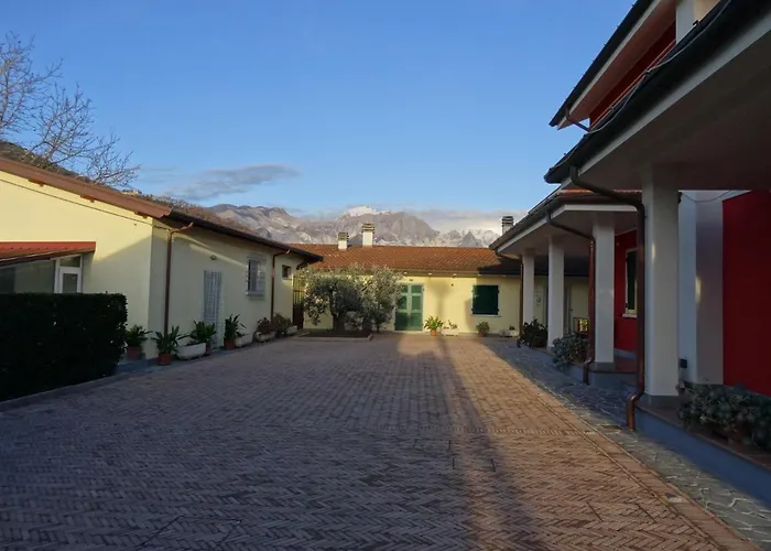 Merlo d'Oro Carrara
