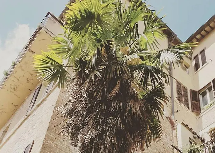 Bed and Breakfast Break And Bed Perugia