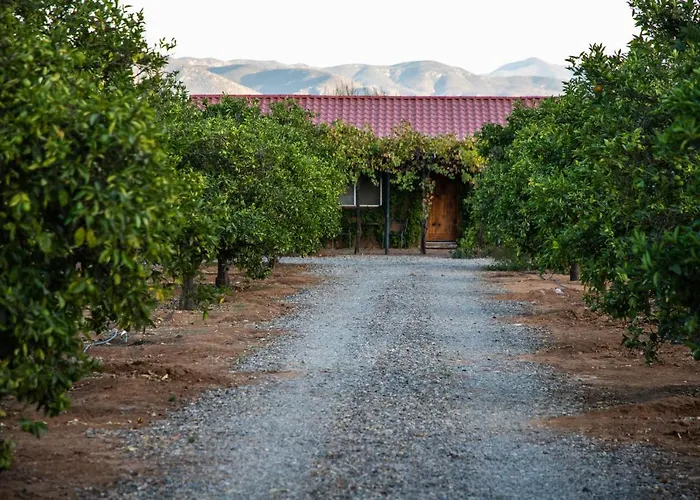 Terra Del Valle Bed & Breakfast Valle de Guadalupe